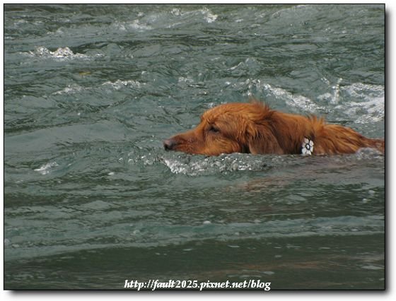 IMG_5163.jpg