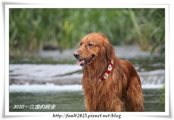 IMG_7545.jpg