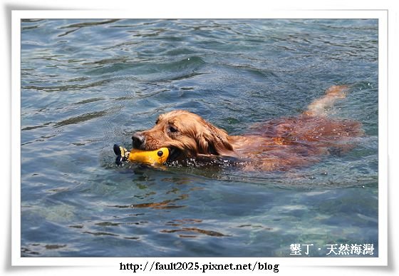 IMG_3831.jpg