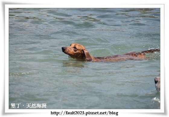 IMG_3958.jpg