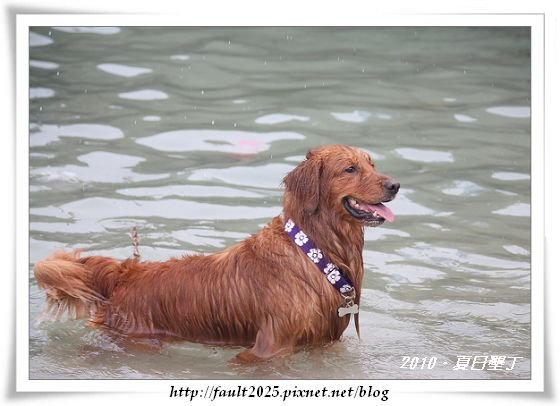 IMG_6795.jpg