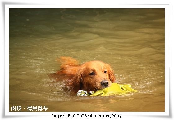 IMG_3629.jpg