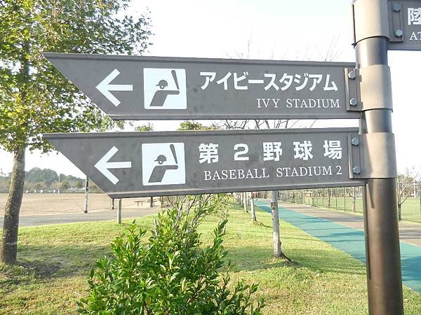 DSCN0674