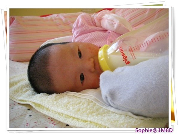 DSCN9853.JPG