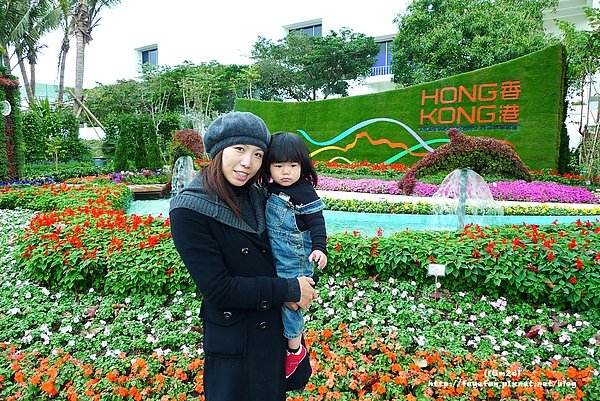 P1170133.JPG