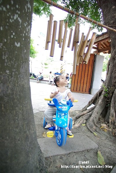 IMGP2115.JPG