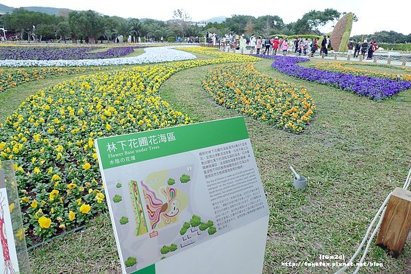 P1160959.JPG