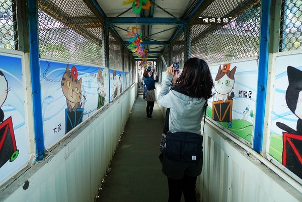 P1170464.JPG
