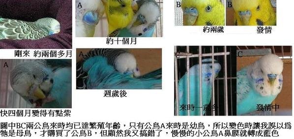 14d206b5f1017f.jpg