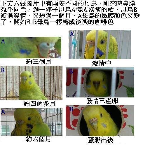 14d206ebbb016b.jpg