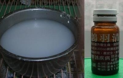 14da908eac8a34.jpg
