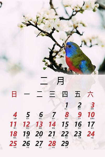 花2月.jpg