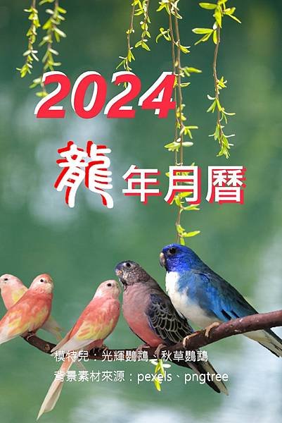 2024龍年  小草鸚鵡月曆