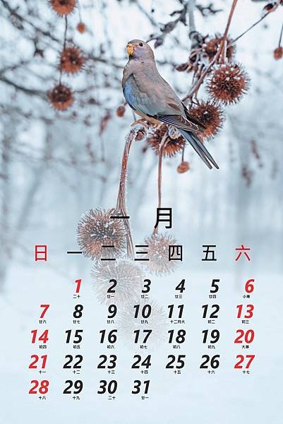 花1月.jpg