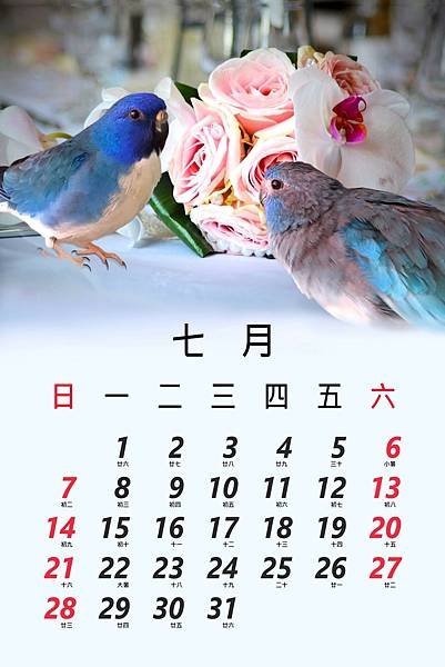 花7月.jpg