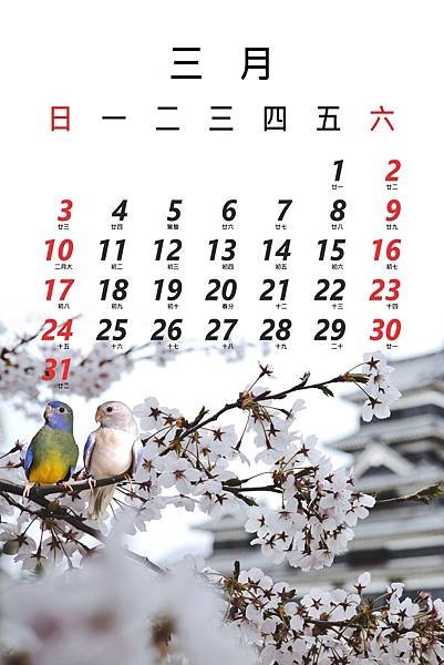 花3月.jpg