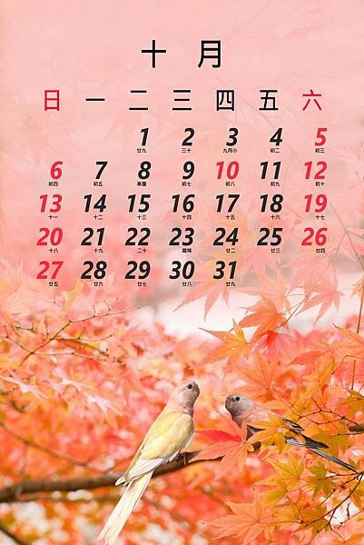 花10月.jpg