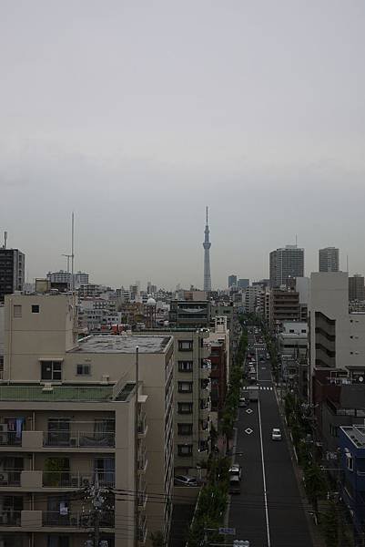 P1020779.JPG