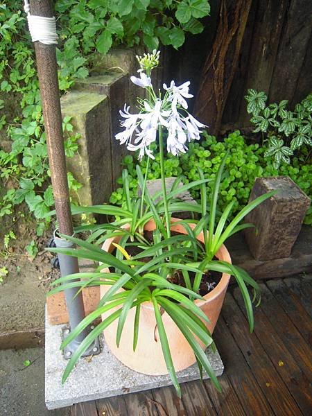 DSCN4152.JPG