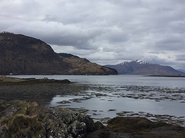 IMG_8827.JPG