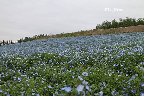 IMG_9342.JPG