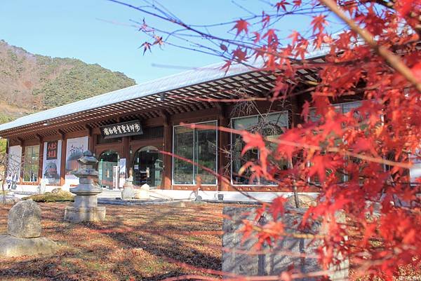 韓國釜山賞楓1.jpg
