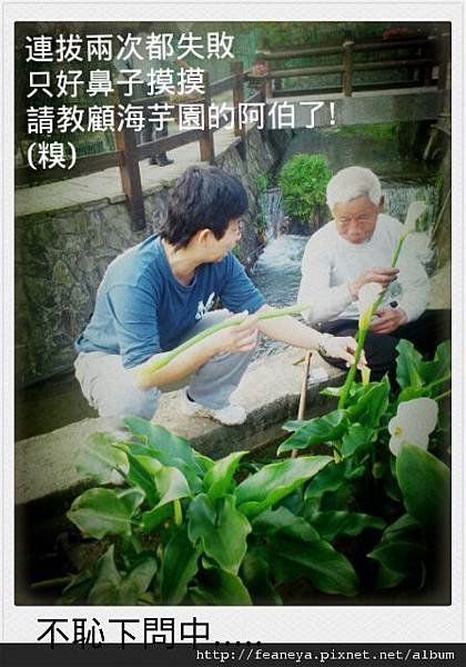 DSC_1163_美图01