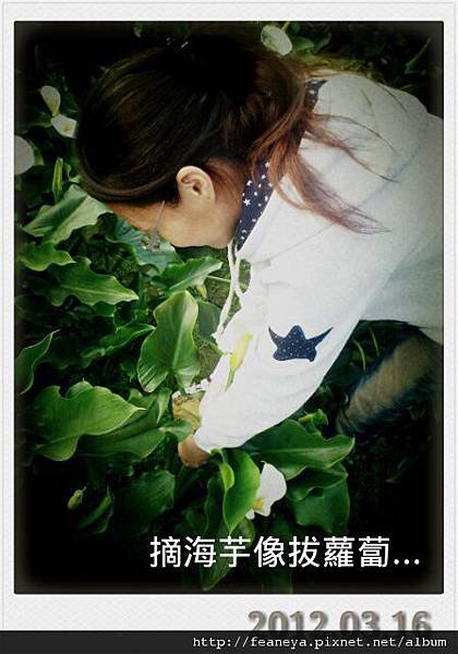 DSC_1168_美图01
