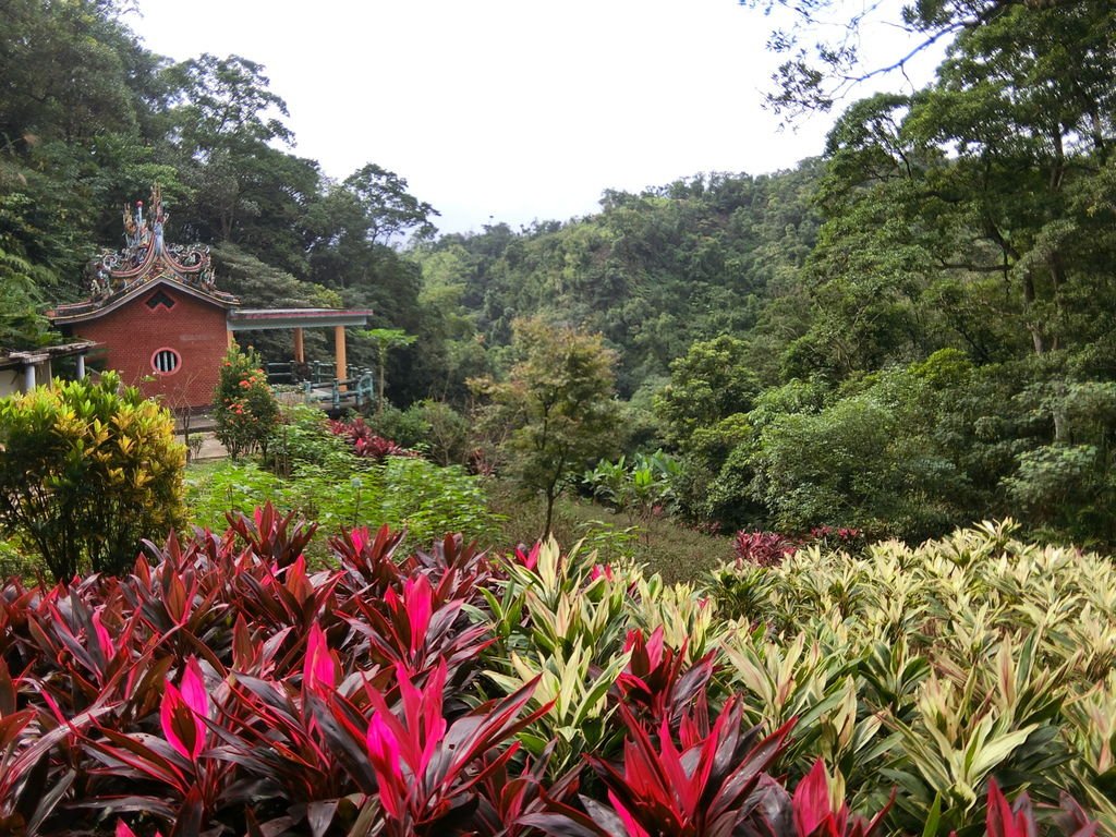 台北南港登山-南港山縱走親山步道-來到四獸山登上九五峰【丁小羽登山篇】