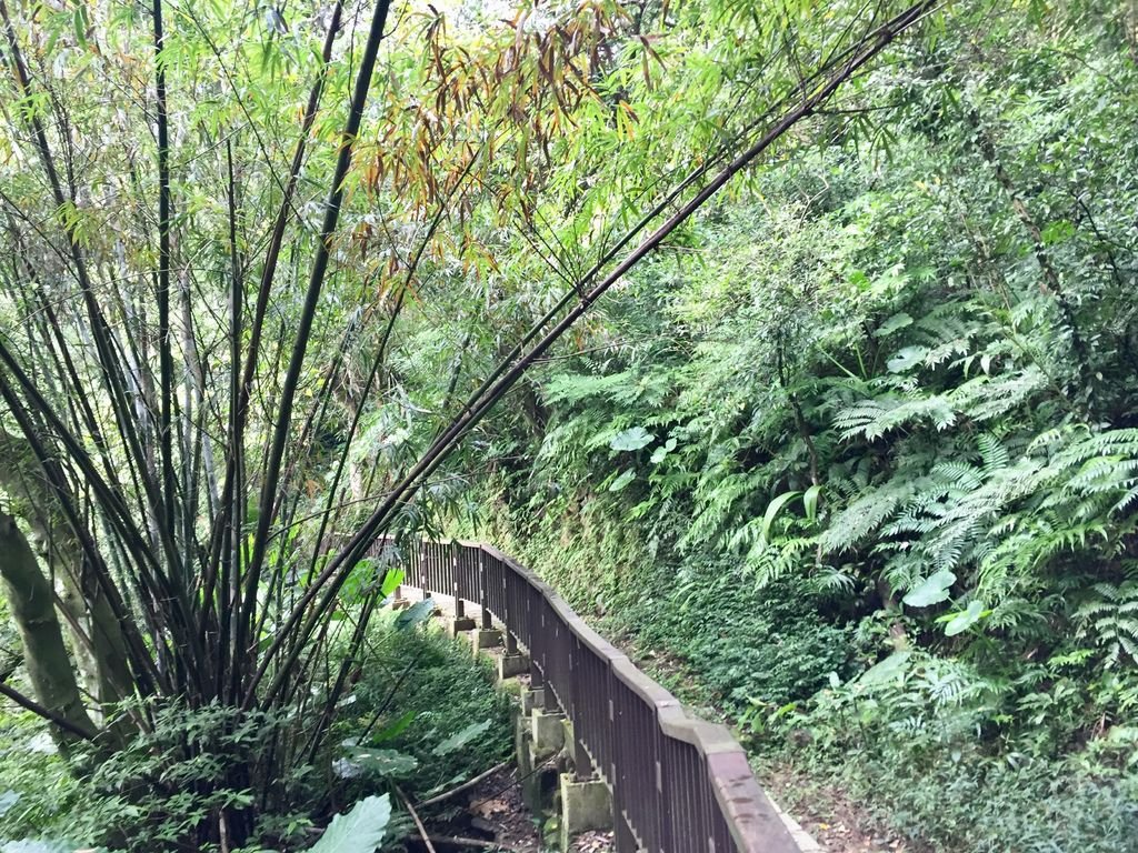 台北南港登山-南港山縱走親山步道-來到四獸山登上九五峰【丁小羽登山篇】