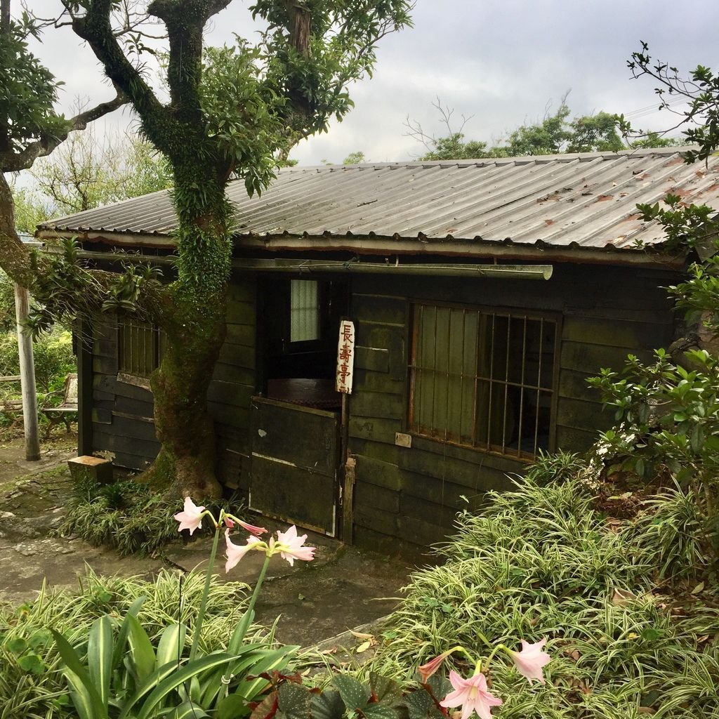 台北南港登山-南港山縱走親山步道-來到四獸山登上九五峰【丁小羽登山篇】