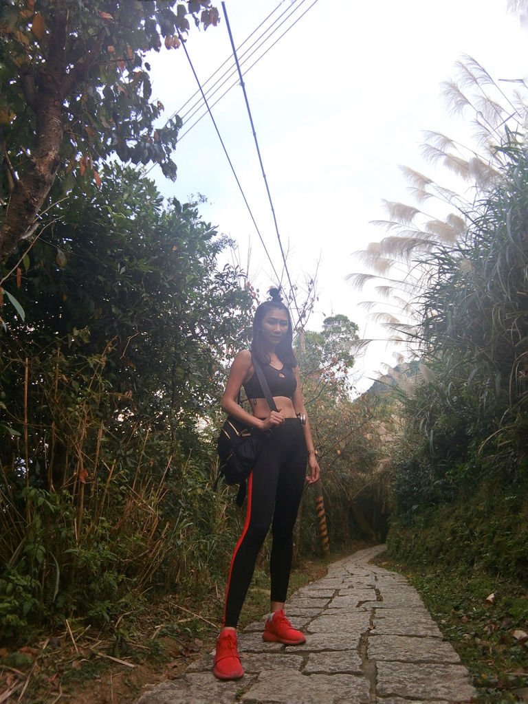 台北登山-樟樹樟湖環狀步道-旅遊登山美食一次蒐集~貓空纜車旁農村風情【丁小羽登山篇】