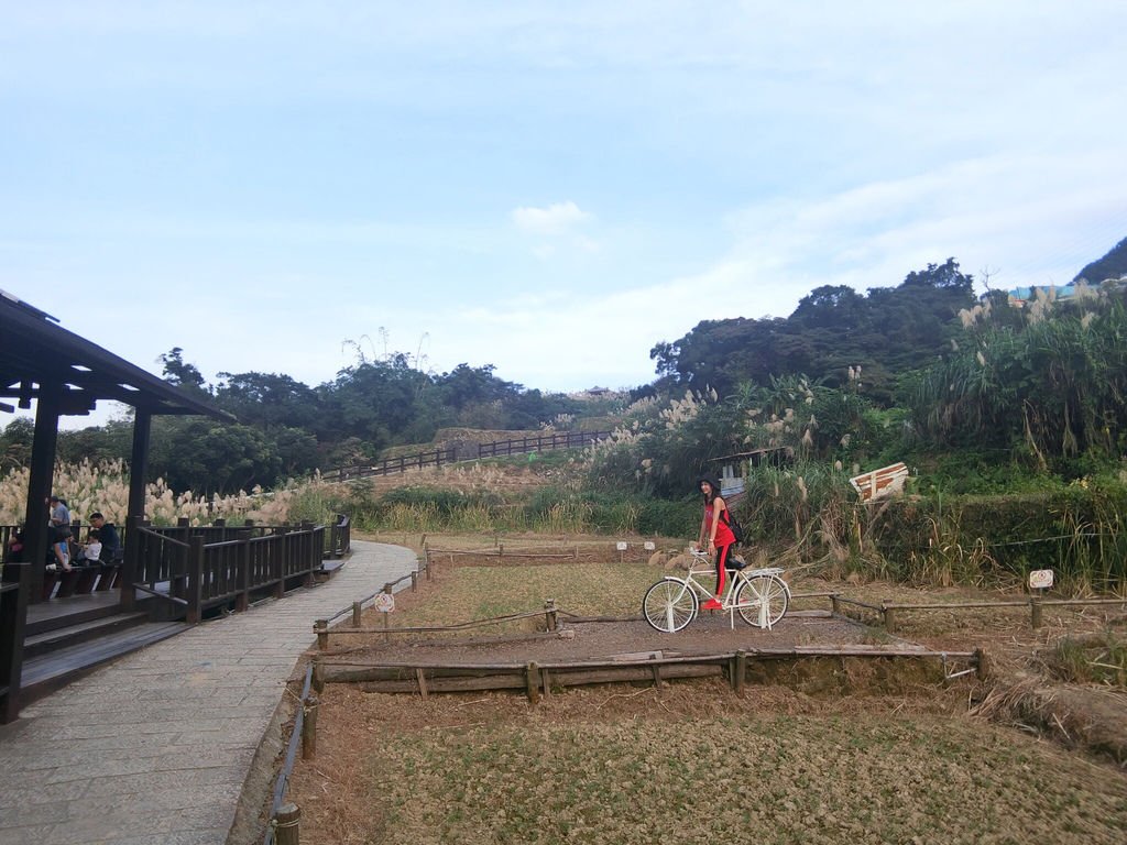 台北登山-樟樹樟湖環狀步道-旅遊登山美食一次蒐集~貓空纜車旁農村風情【丁小羽登山篇】