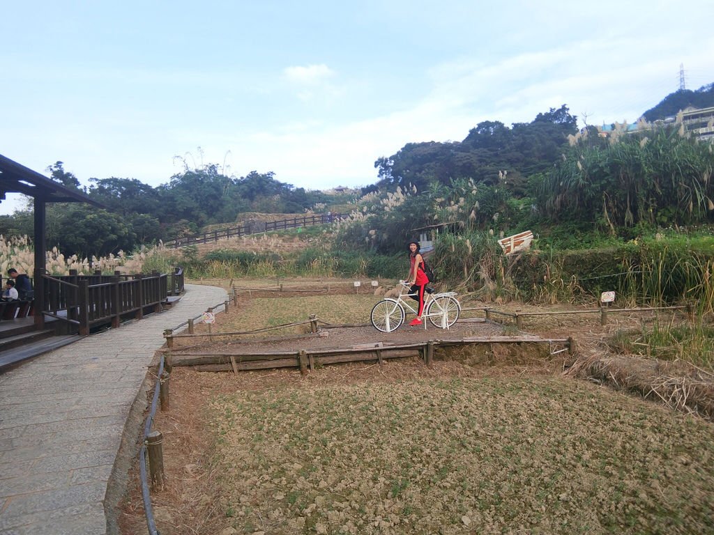 台北登山-樟樹樟湖環狀步道-旅遊登山美食一次蒐集~貓空纜車旁農村風情【丁小羽登山篇】