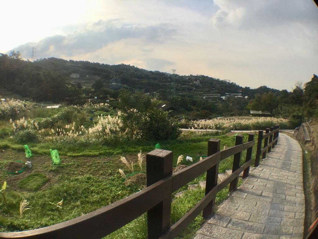 台北登山-樟樹樟湖環狀步道-旅遊登山美食一次蒐集~貓空纜車旁農村風情【丁小羽登山篇】