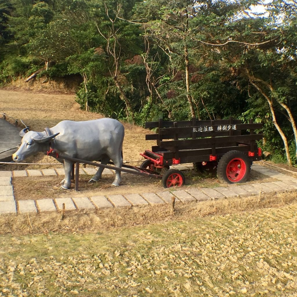 台北登山-樟樹樟湖環狀步道-旅遊登山美食一次蒐集~貓空纜車旁農村風情【丁小羽登山篇】