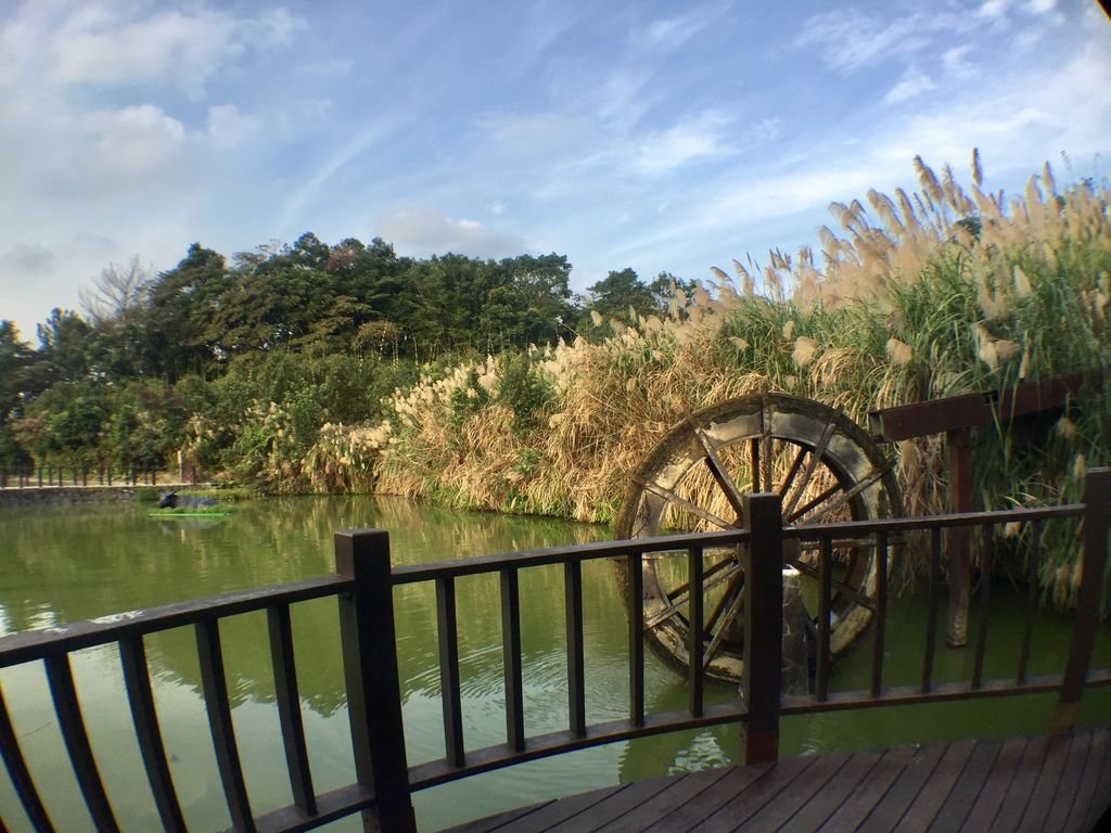 台北登山-樟樹樟湖環狀步道-旅遊登山美食一次蒐集~貓空纜車旁農村風情【丁小羽登山篇】