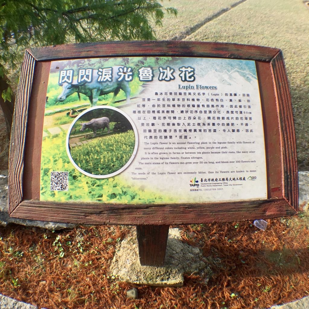 台北登山-樟樹樟湖環狀步道-旅遊登山美食一次蒐集~貓空纜車旁農村風情【丁小羽登山篇】