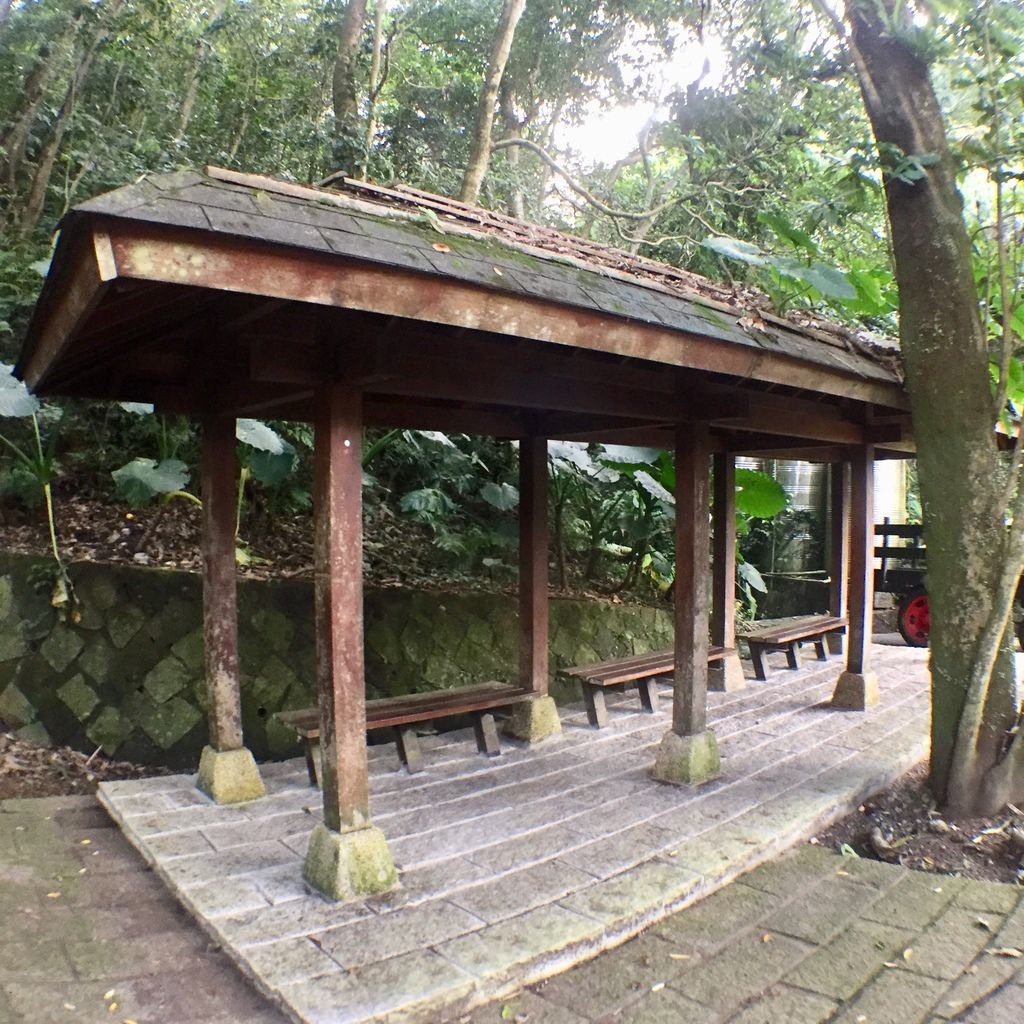 台北登山-樟樹樟湖環狀步道-旅遊登山美食一次蒐集~貓空纜車旁農村風情【丁小羽登山篇】