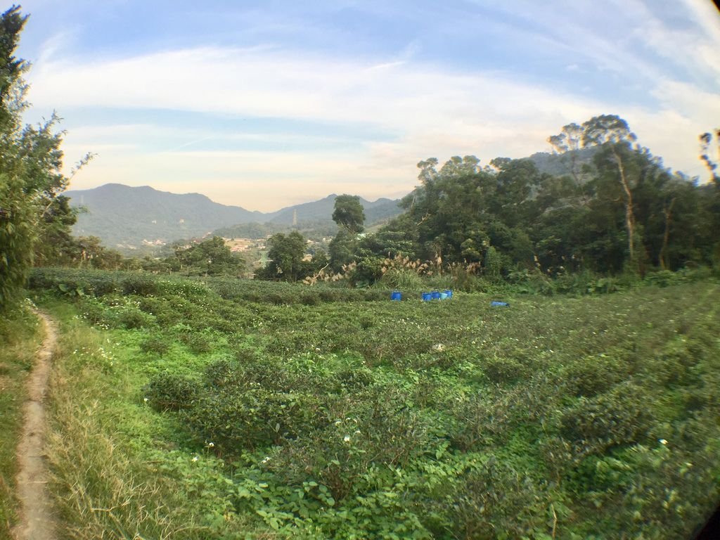 台北登山-樟樹樟湖環狀步道-旅遊登山美食一次蒐集~貓空纜車旁農村風情【丁小羽登山篇】