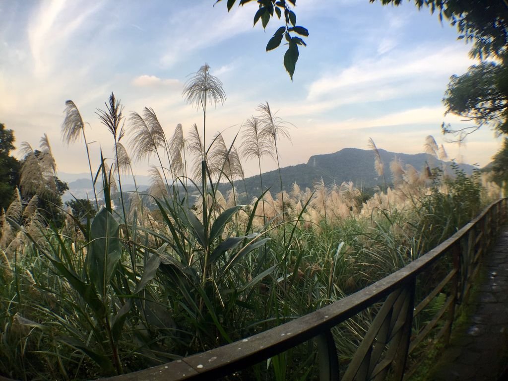 台北登山-樟樹樟湖環狀步道-旅遊登山美食一次蒐集~貓空纜車旁農村風情【丁小羽登山篇】