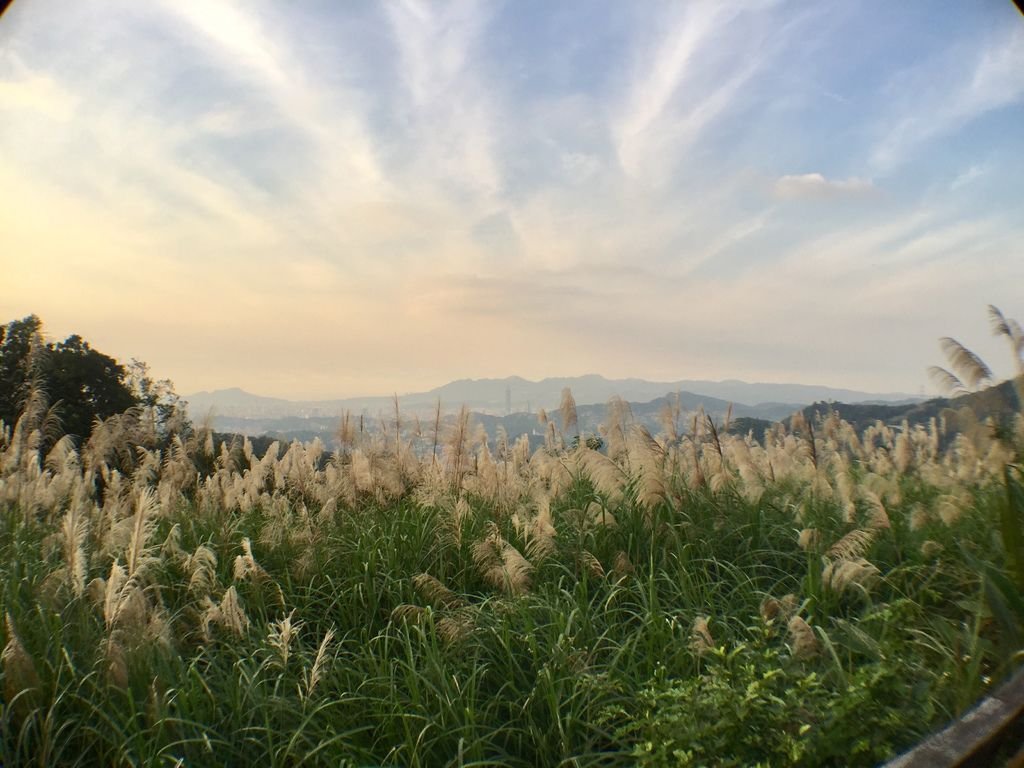 台北登山-樟樹樟湖環狀步道-旅遊登山美食一次蒐集~貓空纜車旁農村風情【丁小羽登山篇】