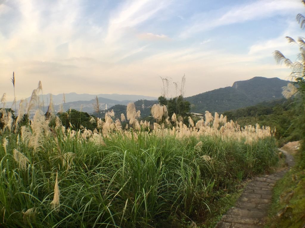 台北登山-樟樹樟湖環狀步道-旅遊登山美食一次蒐集~貓空纜車旁農村風情【丁小羽登山篇】