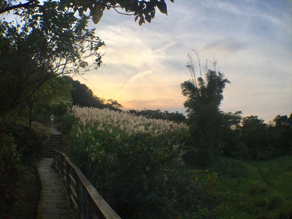 台北登山-樟樹樟湖環狀步道-旅遊登山美食一次蒐集~貓空纜車旁農村風情【丁小羽登山篇】