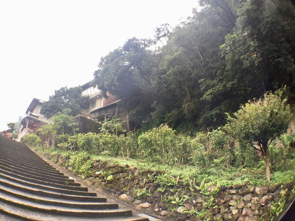 台北登山健行懶人包之內湖區必爬的登山步道有哪些？我來告訴你