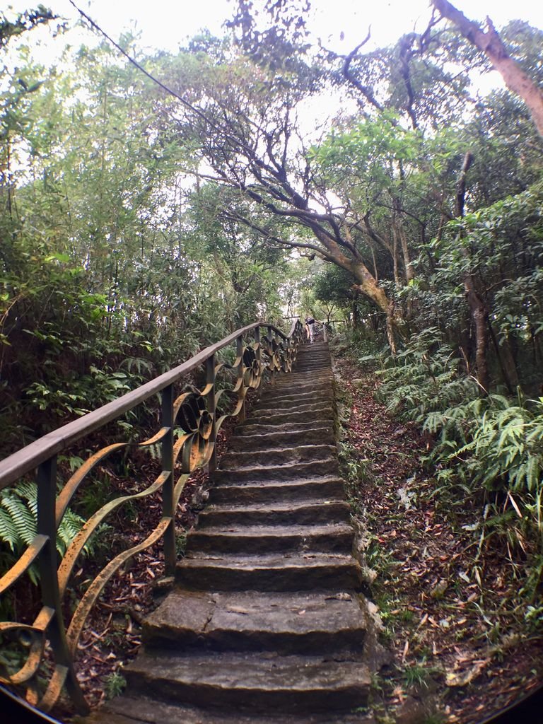 台北登山-鯉魚山圓覺寺環狀步道(下)-鯉魚山步道!捷運大湖公園超可愛小人國景觀【丁小羽登山篇】