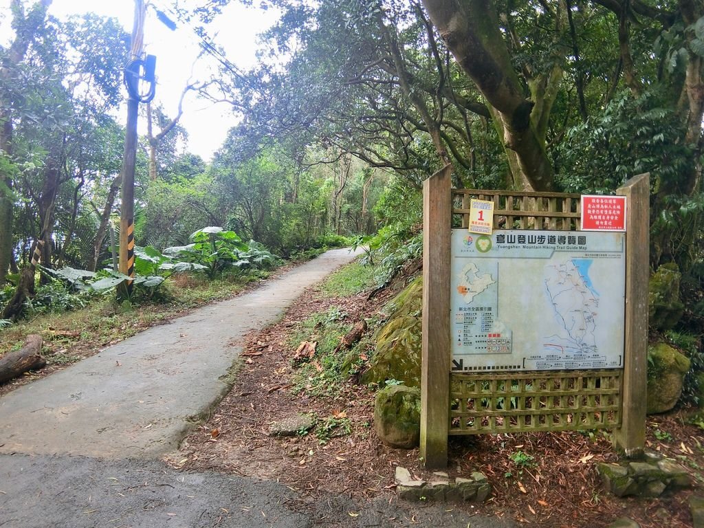 新北三峽登山-鳶山登山步道-三峽老街一覽無遺美景+夜景【丁小羽登山篇】