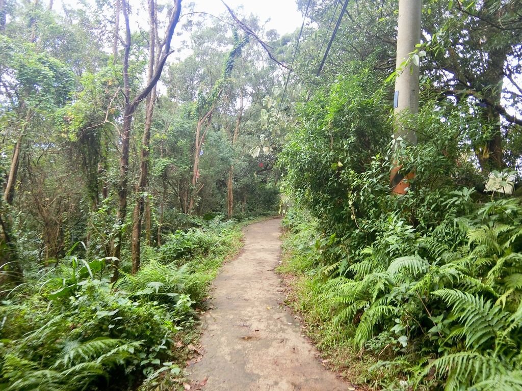 新北三峽登山-鳶山登山步道-三峽老街一覽無遺美景+夜景【丁小羽登山篇】