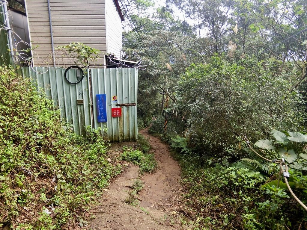 新北三峽登山-鳶山登山步道-三峽老街一覽無遺美景+夜景【丁小羽登山篇】