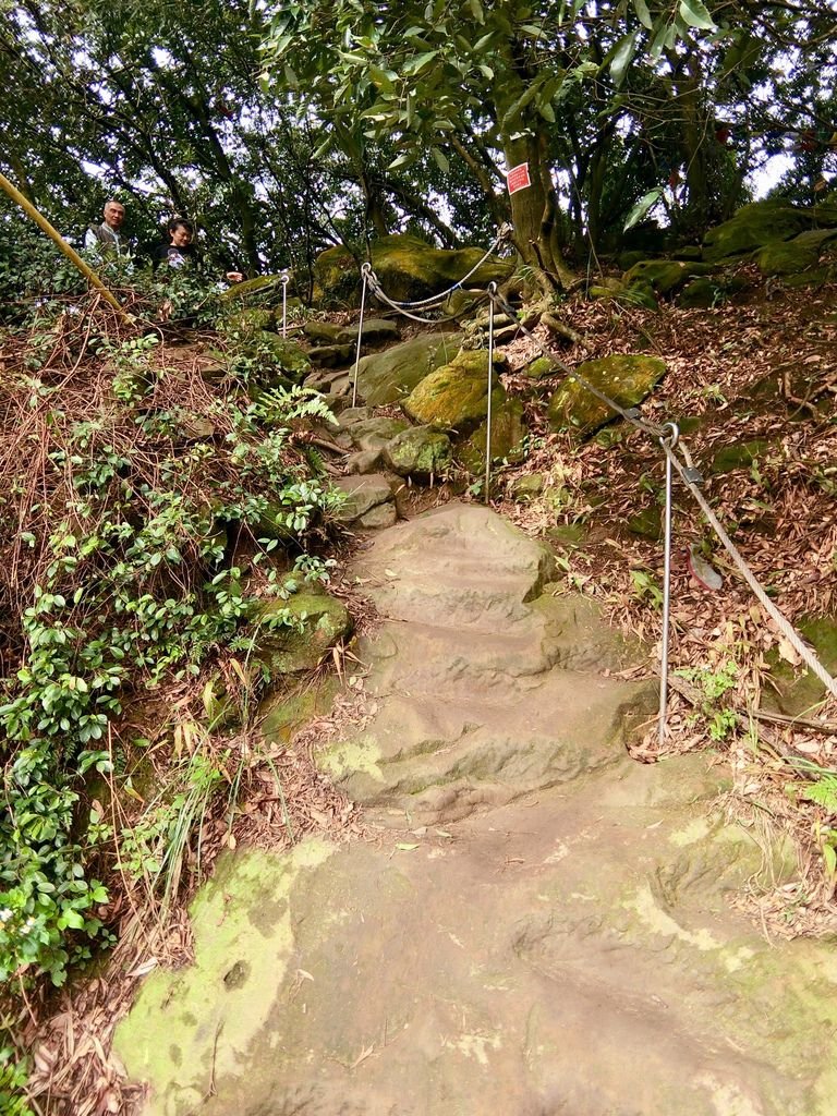 新北三峽登山-鳶山登山步道-三峽老街一覽無遺美景+夜景【丁小羽登山篇】